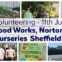 Wayv Volunteering July 2025